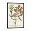 « botanique varietes iv », impression sur toile-29170007-72783508-72783509