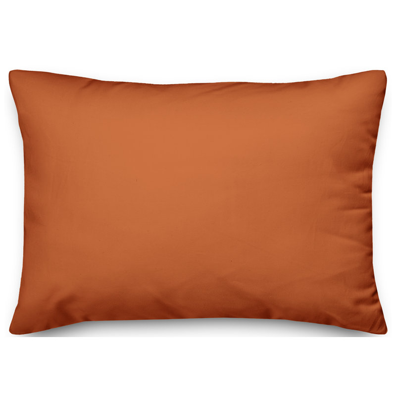  Coussin Witch Better Have My Candy, Utilisation intérieure/extérieure