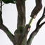 12 pi Arbre à violon artificiel
