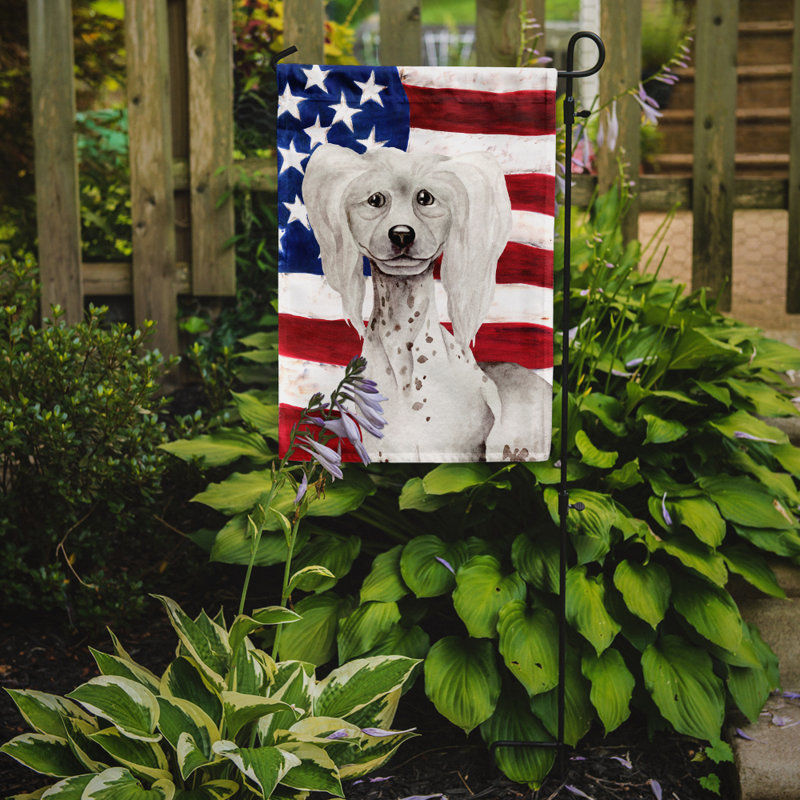 2 côtés en polyester de 2 côtés american drapeau de jardin, Chien chinois à crête gris