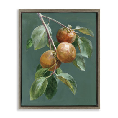 Autumn Harvest Fruits Framed Floater Canvas Wall Art by Danhui Nai