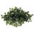 Ivy with White Wash Planter Silk Plant