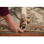 Tapis vert All-Over Oushak 9x12