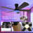 42" 5 - Blade  Dimmable RGB Reversible LED Ceiling Fan with Light Kit and Remote Control