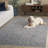 Mekenzie Antique Patina Performance Oriental Rug-501374201