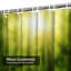 Rideau de douche Dark Forest Sunshine-1524875020