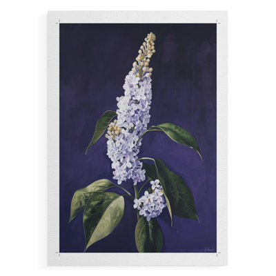 FLORAL Series CCXVIII - Impression sur toile seulement - NON CADRE
