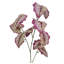 Andwele Arrangement