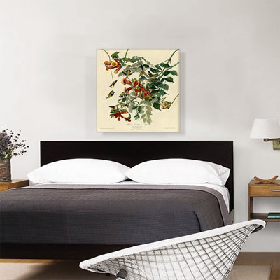 " Ruby-Throated Humming Bird " by James Audubon Painting Print