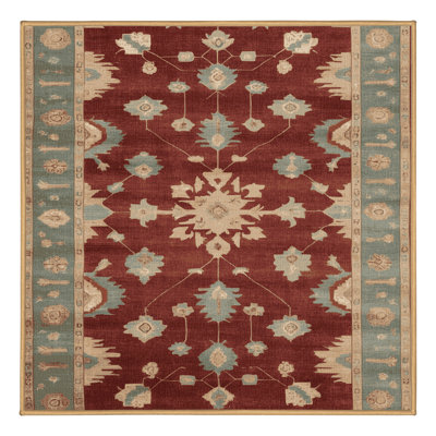 Machine Washable Overdyed Brown Area Rug