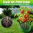 5-gallon Fabric Grow Bags (7 Pack Of Mix Colors) With Handles For Potato Tomato Flower And Vegetables