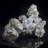 Latunja Crystal