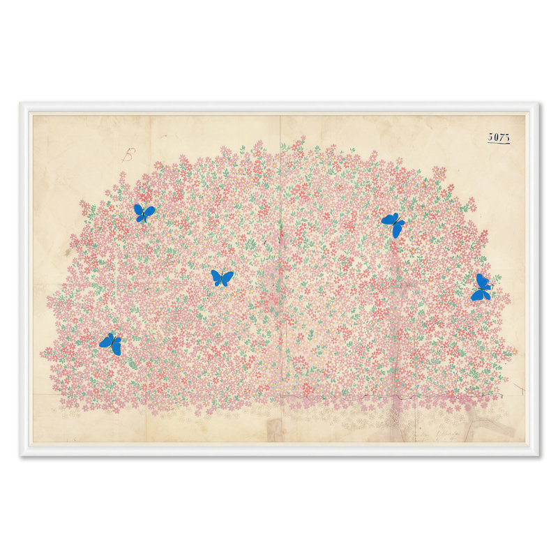 Myosotis Print by Paule Marrot Soicher Marin, White Framed