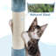 155cm H Cat Tree