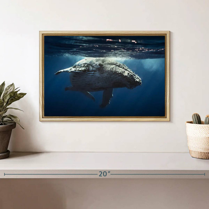 Baleine écumante, Cadre flottant en bois naturel, 13 po x 9 po