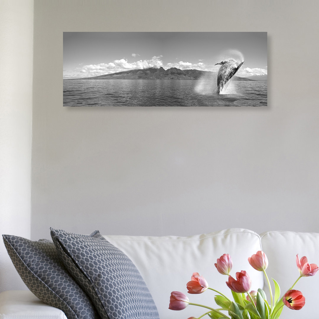 Breaching Humpback Whale Black and White by David Fleetham - Wrapped Canvas Panoramic Photograph Print
