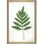 «Chalkboard Fern Green I» par Sue Schlabach - impression-65863633-65863634