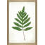 «Chalkboard Fern Green I» par Sue Schlabach - impression-65863634-65863633