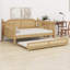 Structure de lit de jour classique en rotin avec couchette