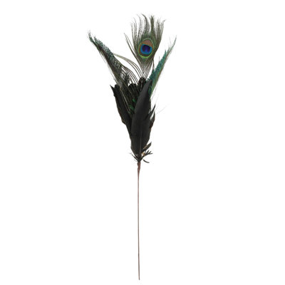 Plume de Noël 22,75 po plumage noir et vert avec plume de paon