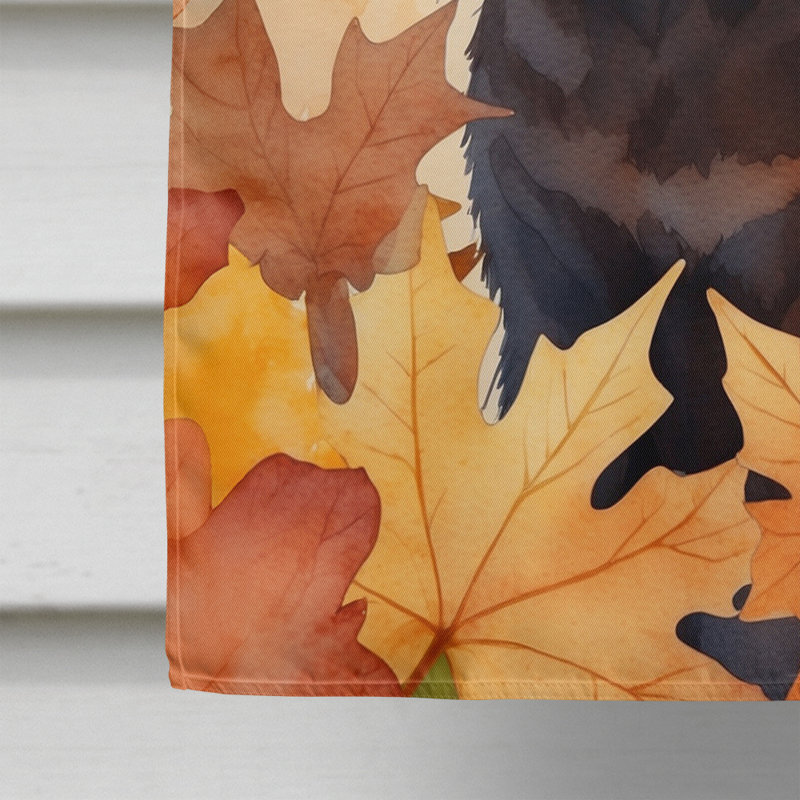 Chat en feuilles d'automne, York chocolat