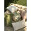 Piero Square Pillow Cover & Insert-1039823396-1039823397