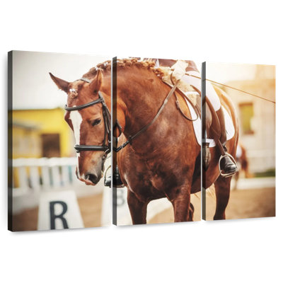 Sireci Chestnut Horse
