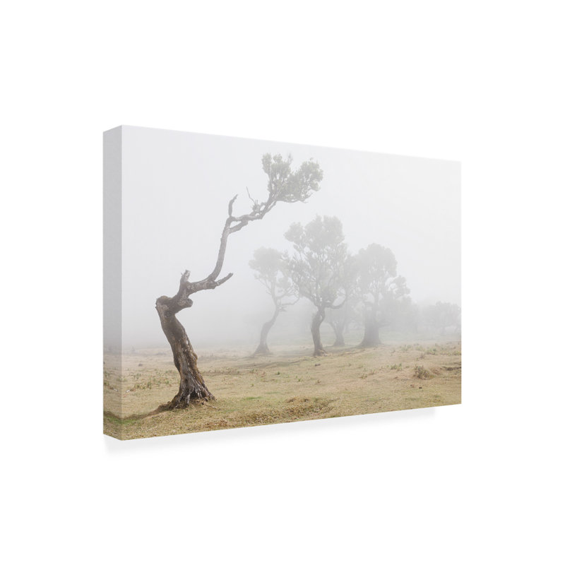 Art sur toile «Bacheler Walter Lackner», H 12 po x l 19 po