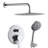 9-Spray Patterns With 1.8 Gpm 12 In. Wall Mount Shower System With Two Showerhead-120817916