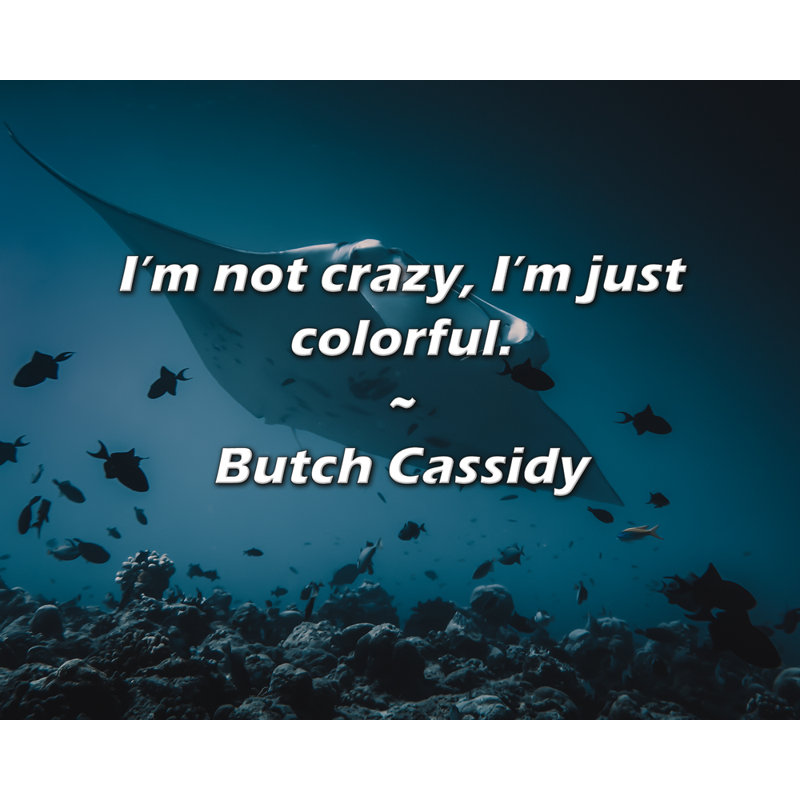 Artsy Quote "I’m not crazy, I’m just colourful." By Butch Cassidy Gallery Wrapped Canvas, 17" H x 24" W