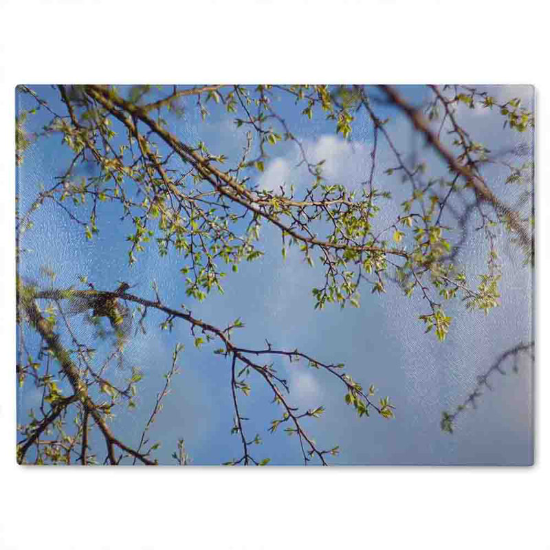 Tree Branches  Sky Glass Chopping Board