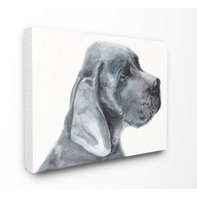" Great Dane Dog Pet Animal Watercolor Painting "