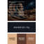 Art mural gris Sci Fi Sphinx-1900256683