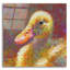 "Ducky" par Rita Kirkman-101650471