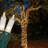 180'' String Lights