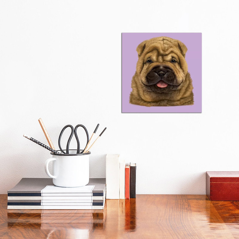 Shar Pei Puppy by Vincent Hie - Wrapped Canvas Print, 30.48 cm H x 30.48 cm W