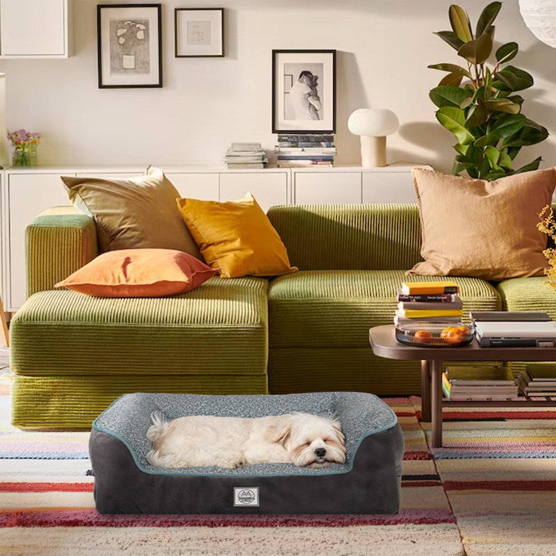 Jungolica Orthopedic Pet Bed, 55cm H x 35cm W x 18cm D, Teal/Grey