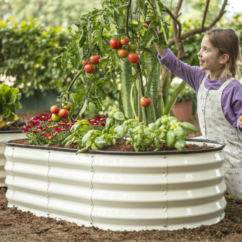 Jardin surélevé galvanisé pour l'extérieur, Blanc