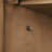 Fossen 42.01'' Single Bathroom Vanity with Engineered Marble Top