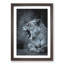 Fierce Lioness - Picture Frame Painting Print-56925185-56925188