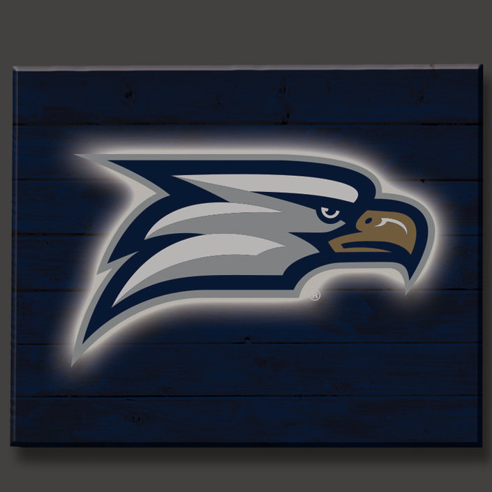 Décoration murale éclairée NCAA, Georgia Southern