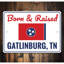 Born And Raised Tennessee Sign-58289320