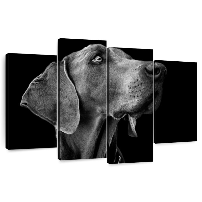 Brampt Monochrome Dog, 42" H x 68" W
