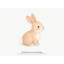 Farm Rabbit Wall Decal, Big Peel and Stick Nursery Wall Sticker, Satin Finish Removable Kids Room Wall Art, 20"W x 20"H (50 x 50 cm)-369139124