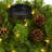Pine Candelabrum Arrangement