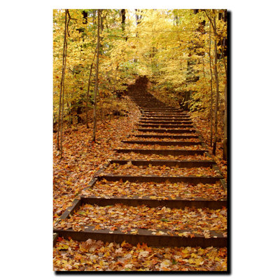 « escalier », photographie sur toile tendue Gweltaz