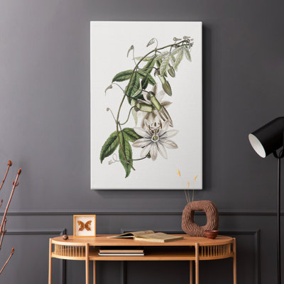 Tropical Botanical II - Cavas enveloppés de galerie