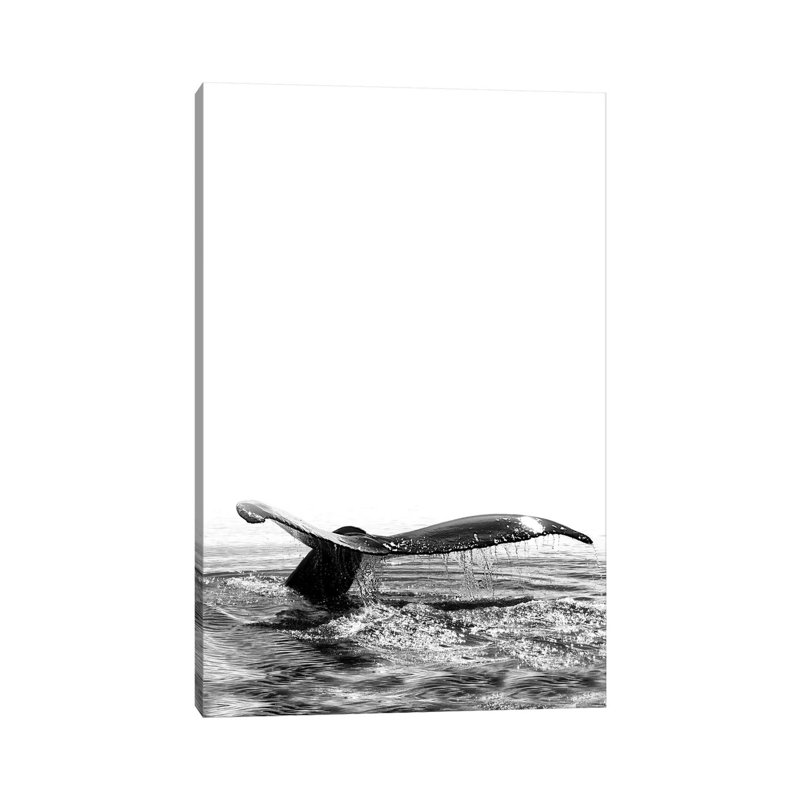 Whale Song I Iceland Black And White by Monika Strigel - Wrapped Canvas Print, 101.6 cm H x 66.04 cm W x 3.175 cm D