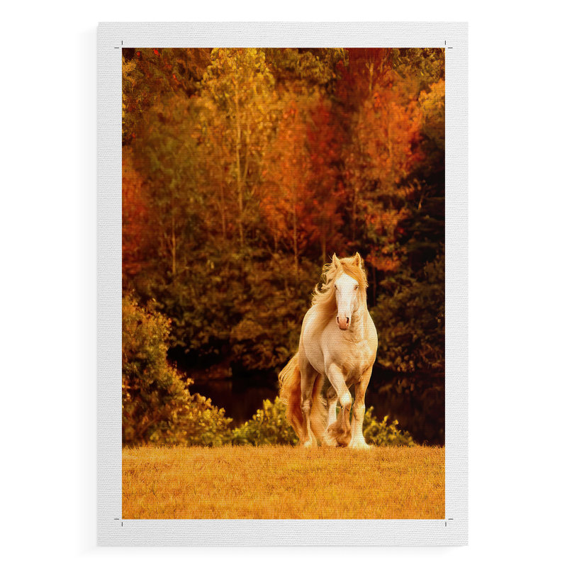 Horse Motion IX - Impression sur toile seulement - NON-CADRE, H 60 po x l 40 po
