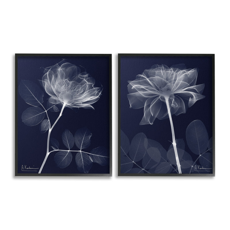 Cadre simple X-Ray Blossom par Albert Koetsier, 2 pièces sur toile, Giclée encadrée noir minuit, H 14 po x l 11 po